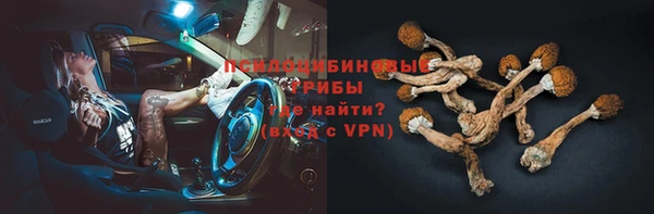 таблы Осинники