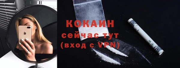 мдпв Весьегонск