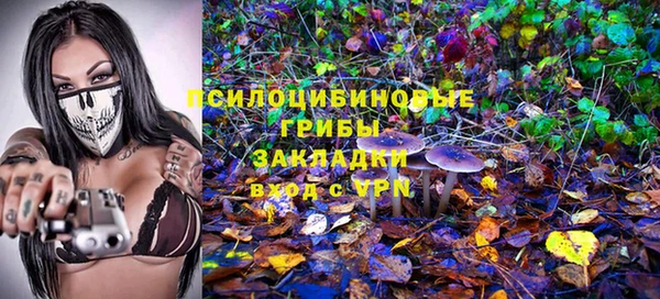 таблы Осинники