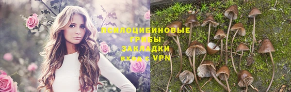 таблы Осинники