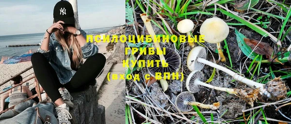 таблы Осинники