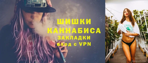 таблы Осинники