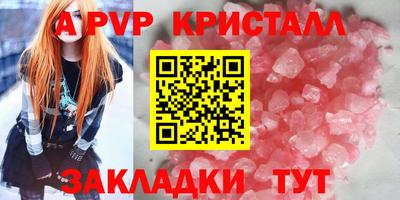 стаф Берёзовский