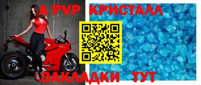 стаф Берёзовский
