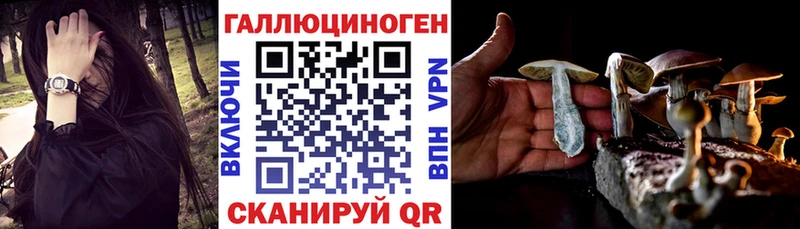 закладка  Новосибирск  Псилоцибиновые грибы Magic Shrooms 