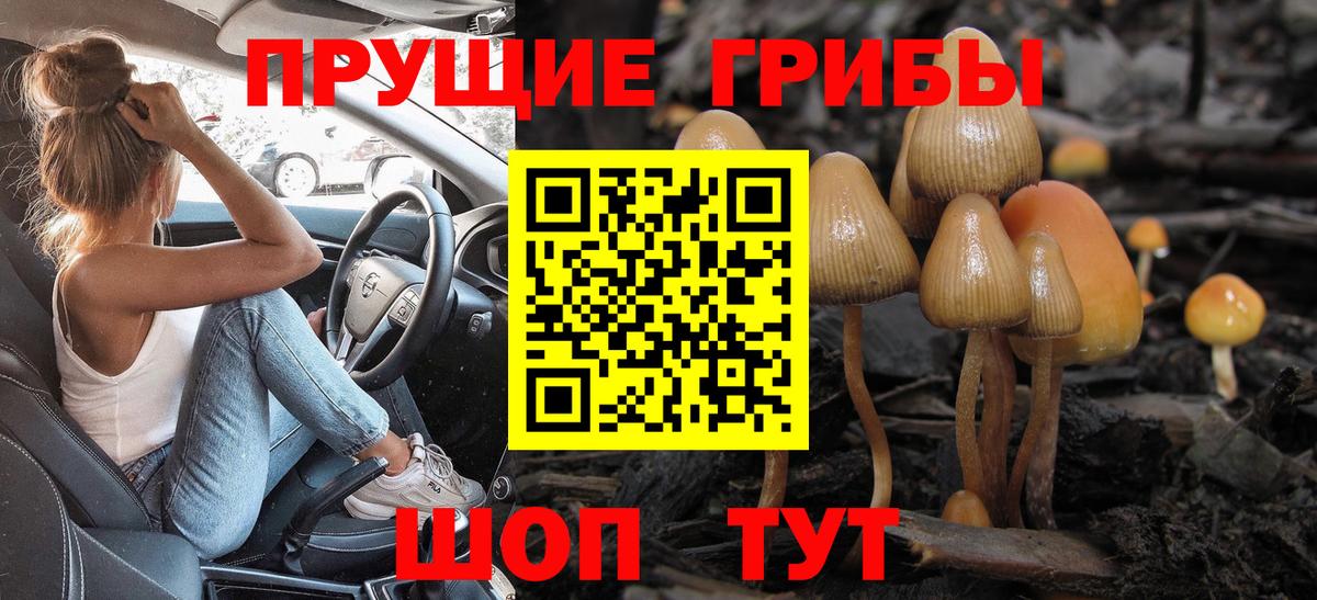 Псилоцибиновые грибы ЛСД Новосибирск