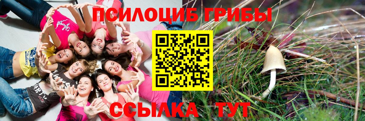 Галлюциногенные грибы ЛСД  Псилоцибиновые грибы ЛСД  Вход с VPN  Новосибирск 